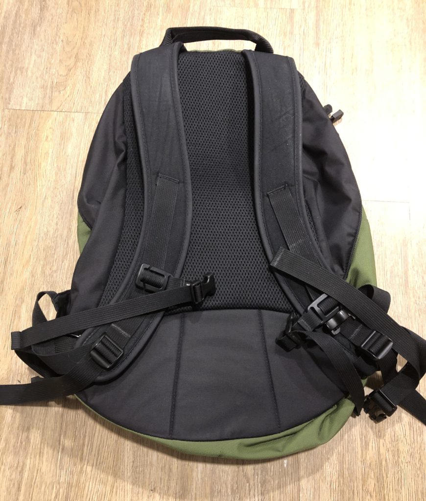 Back view of a Tom Bihn Synapse 25L backpack.